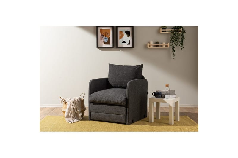 1-sædet sovesofa Rubby Mørk Grå - Mørk Grå - Møbler - Stole & lænestole - Lænestole - Sengestol