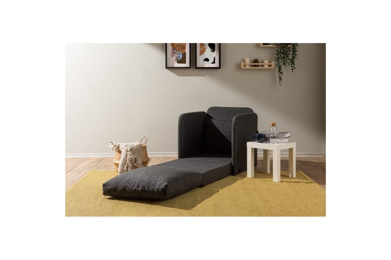 1-sædet sovesofa Rubby Mørk Grå - Mørk Grå - Møbler - Stole & lænestole - Lænestole - Sengestol
