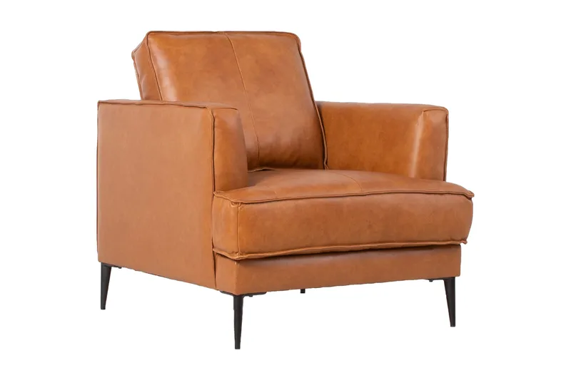 Leo Lænestol Lysebrun, undefined