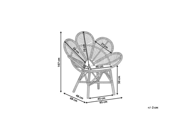 Lorentine Lænestol 2stk - Rattan - Lænestol uden armlæn