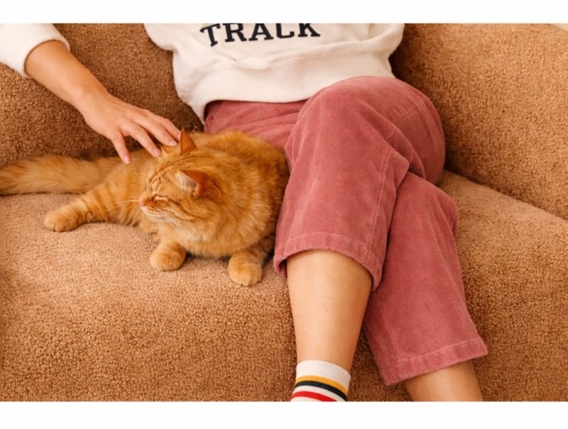 Sovesofa til 1 person Atelier Del Sofa Wello Single (80 x 70 cm) Orange - Møbler - Stole & lænestole - Lænestole - Sengestol