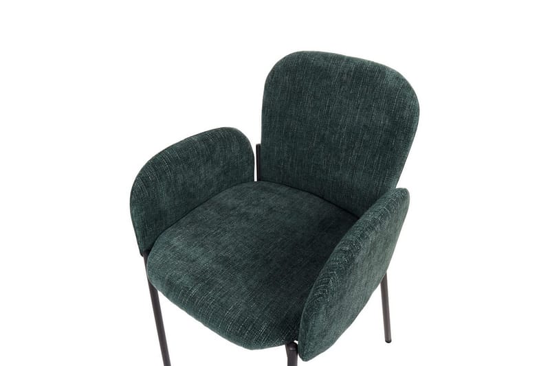 Sæt med 2 spisebordsstole Albee - Grøn, Sort - Møbler - Stole & lænestole - Spisebordsstole & køkkenstole