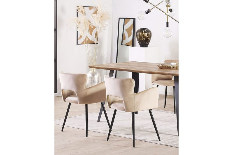 Sæt med 2 spisebordsstole Sanilac - Beige, sort, taupe - Møbler - Stole & lænestole - Spisebordsstole & køkkenstole