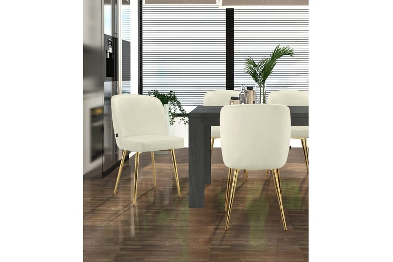 Spisebordsstol Nagano sæt med 2 - Møbler - Stole & lænestole - Spisebordsstole & køkkenstole