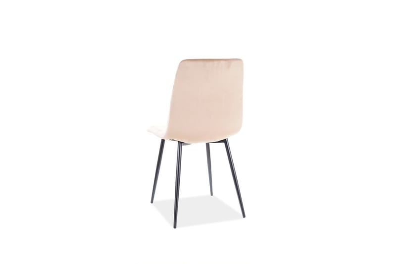Axarnes Spisebordsstol - Velour/Beige/Sort - Spisebordsstole & køkkenstole