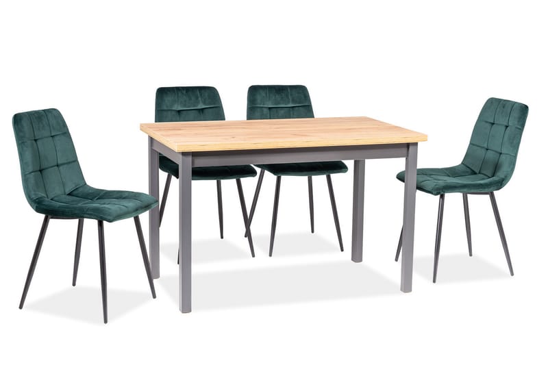 Begin Spisebordsstol 4 stk - Velour/Grøn - Spisebordsstole & køkkenstole