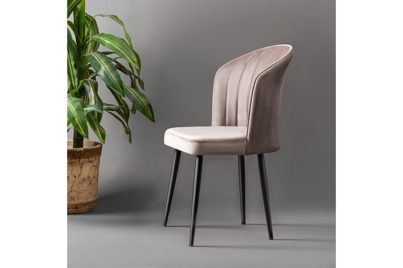 Rubi Spisebordsstol - Cappuccino - Møbler - Stole & lænestole - Spisebordsstole & køkkenstole