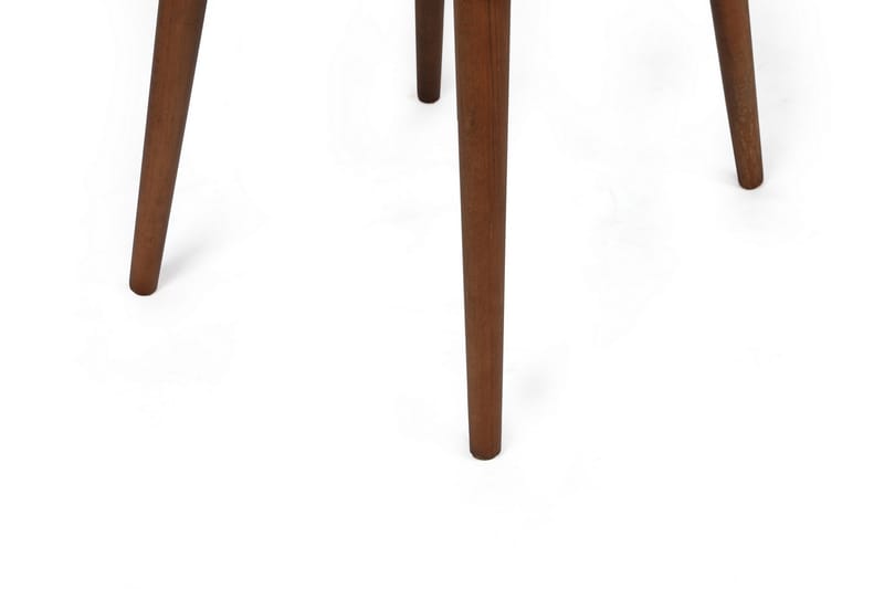 Taybah Spisebordsstol - Valnød finér/Cream - Spisebordsstole & køkkenstole