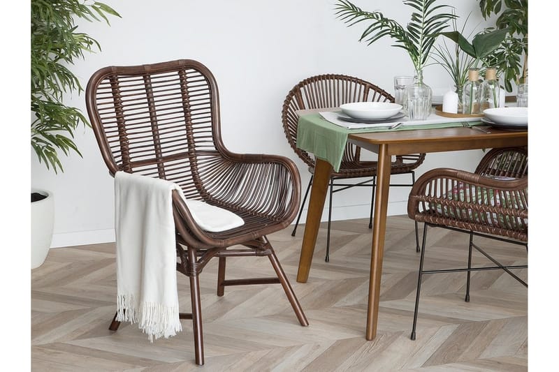 Togo stol sæt 2 stk - Brun - Spisebordsstole & køkkenstole - Armstole