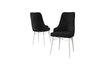 Spisestole Puntoz Sort / Hvid