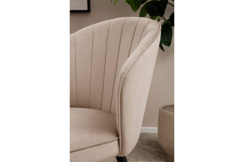 Spisestuestol Wohnling fløjl polstret med metalben, moderne loftstil Beige - Beige - Møbler - Stole & lænestole - Spisebordsstole & køkkenstole