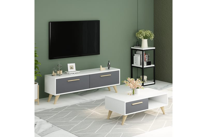 Desgrar TV-Bord 120x45 cm - Hvid - Møbler - TV borde & mediemøbler - TV-borde