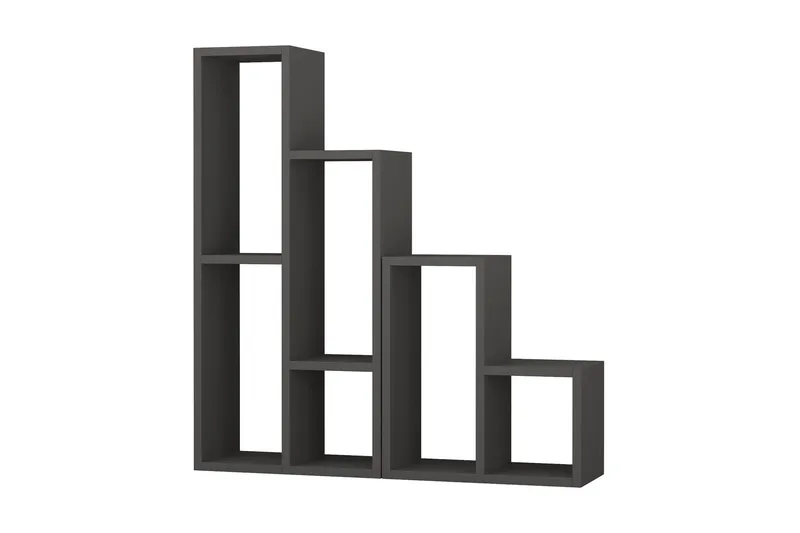 Homitis hylder, Mørkegrå