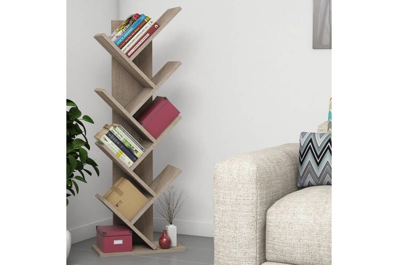 Spearin Bogreol 22 cm i Valnød, Beige