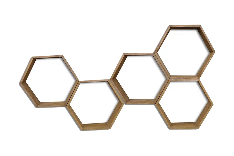 Evila Væghylde sekskant, Træ