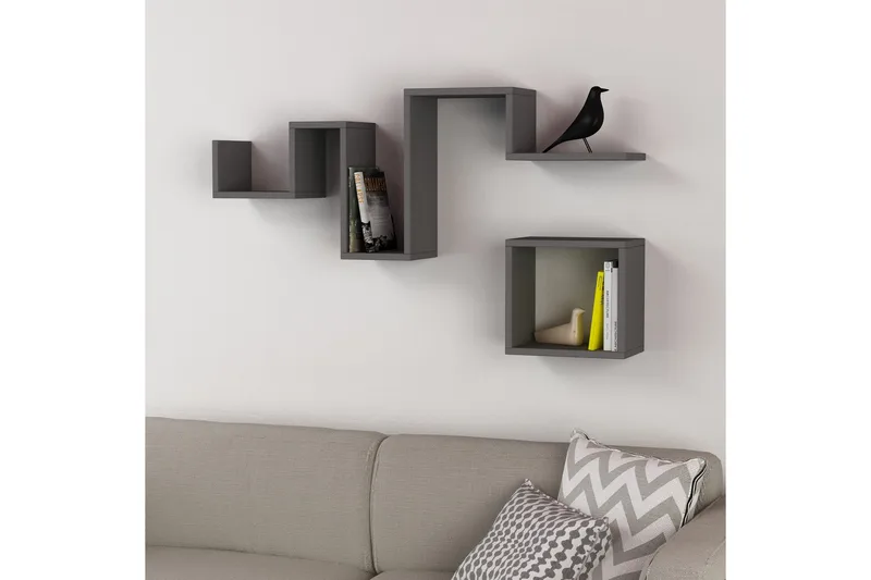 Homitis væghylde, Mørkegrå