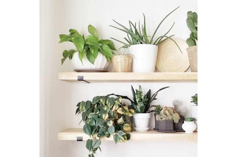 Wayte Væghylde 60 cm - Sort/Eg - Opbevaring - Hylder & Reoler - Væghylde & vægreol