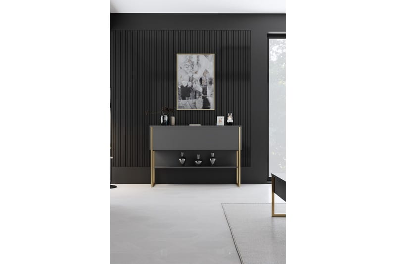 Luxe Kommode 120 cm - Guld/Antracit - Opbevaring - Opbevaringsmøbler - Kommode
