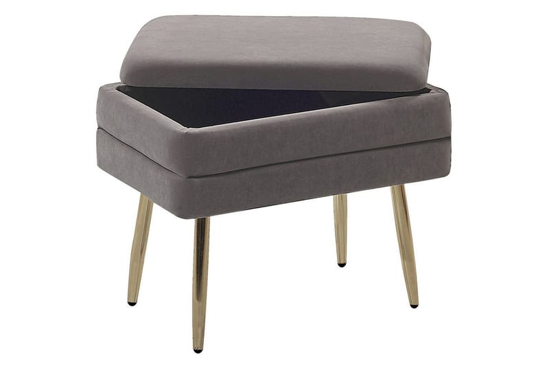 Opbevaringsbænk Odessa Grå/guld - Grå/guld - Opbevaring - Opbevaringsmøbler - Kister