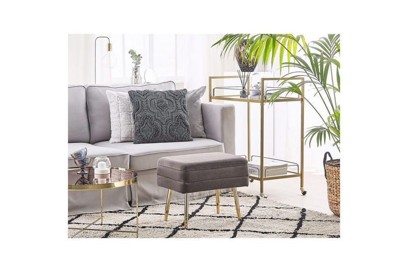 Opbevaringsbænk Odessa Grå/guld - Grå/guld - Opbevaring - Opbevaringsmøbler - Kister