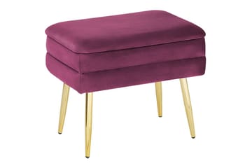 Opbevaringsbænk Odessa Rød/guld