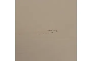 Skab Dagligt 50x100 cm, Dobbeltdøre - 50x100 cm, Dobbeltdøre - Opbevaring - Tøjopbevaring - Garderobeskabe - Garderobeskab & klædeskab