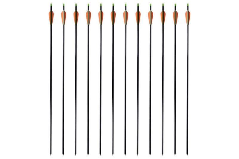 Pile Til Bueskydning 30 0,8 Cm Glasfiber 12 Stk. - Flerfarvet - Sport & fritid - Leg & sport - Havespil