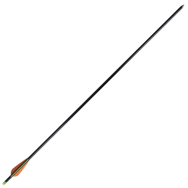 Pile Til Bueskydning 30 0,8 Cm Glasfiber 12 Stk. - Flerfarvet - Sport & fritid - Leg & sport - Havespil