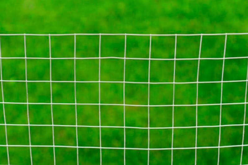 hønsenet galvaniseret stål 25 x 1 m sølvfarvet - Sølv - Sport & fritid - Til dyrene - Fugl - Hønsehus