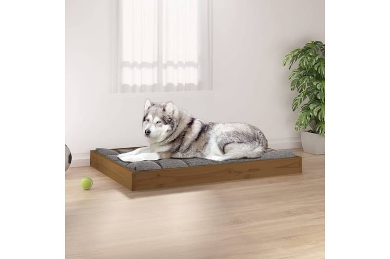 beBasic hundeseng 101,5x74x9 cm massivt fyrretræ gyldenbrun - Brun - Hundeseng - Hundemøbler
