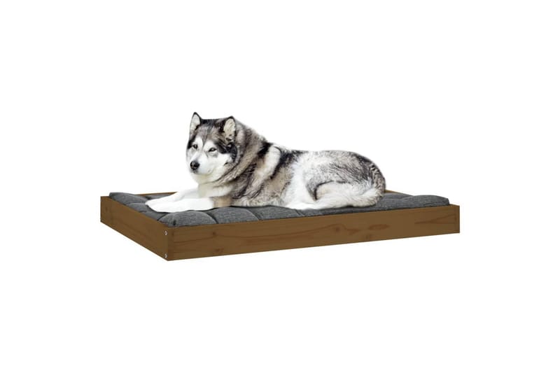 beBasic hundeseng 101,5x74x9 cm massivt fyrretræ gyldenbrun - Brun - Hundemøbler - Hundeseng