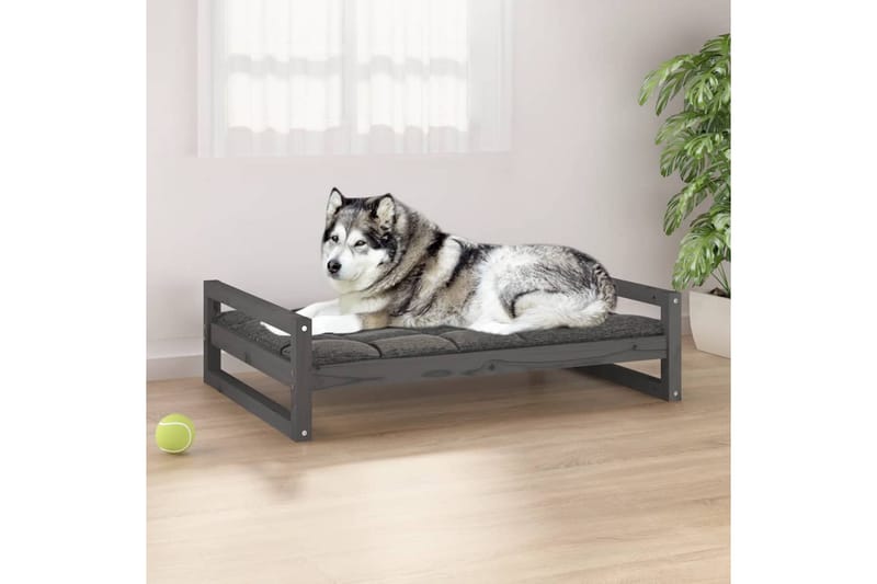 beBasic hundeseng 105,5x75,5x28 cm massivt fyrretræ grå - GrÃ¥ - Hundemøbler - Hundeseng