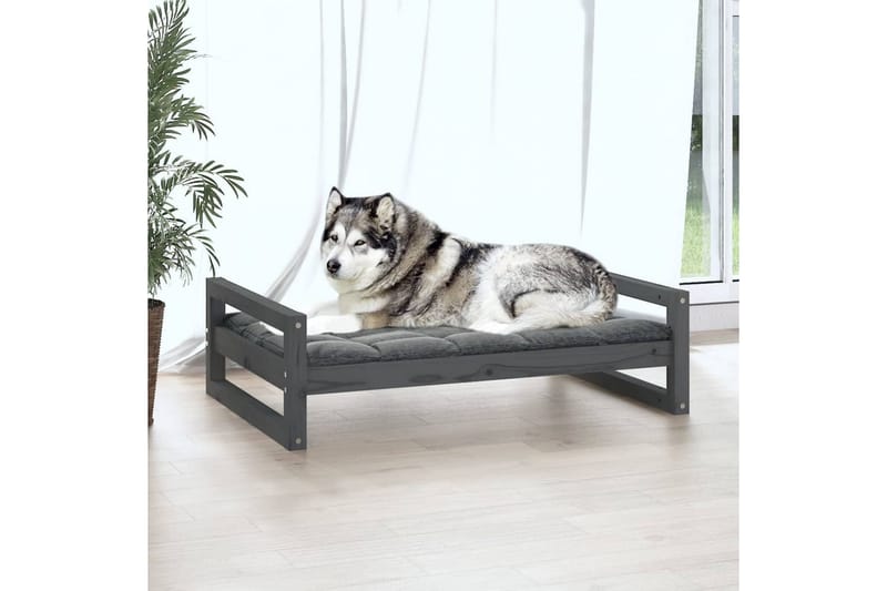 beBasic hundeseng 105,5x75,5x28 cm massivt fyrretræ grå - GrÃ¥ - Hundeseng - Hundemøbler