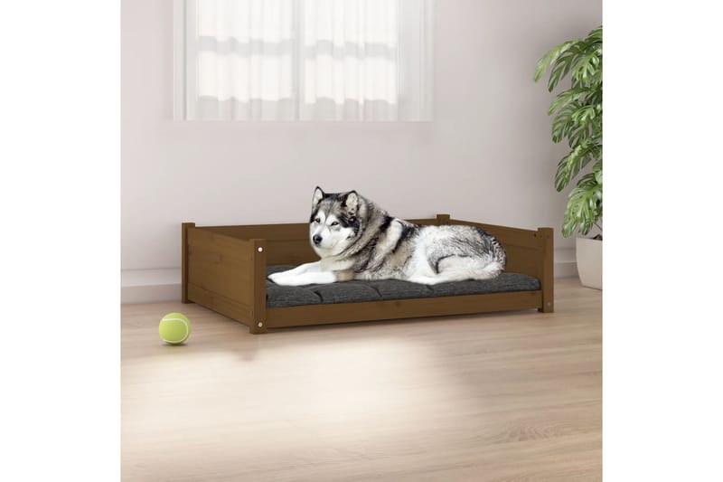 beBasic hundeseng 105,5x75,5x28 cm massivt fyrretræ gyldenbrun - Brun - Hundemøbler - Hundeseng