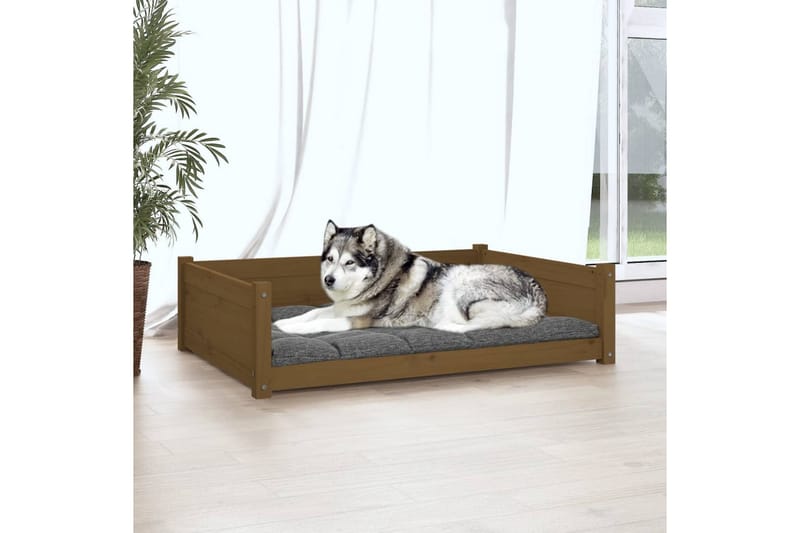 beBasic hundeseng 105,5x75,5x28 cm massivt fyrretræ gyldenbrun - Brun - Hundeseng - Hundemøbler