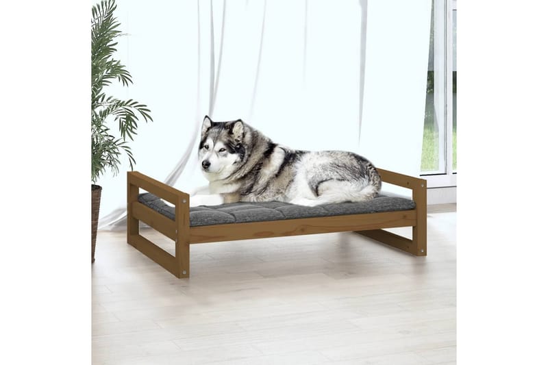 beBasic hundeseng 105,5x75,5x28 cm massivt fyrretræ gyldenbrun - Brun - Hundeseng - Hundemøbler