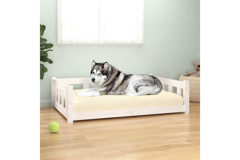 beBasic hundeseng 105,5x75,5x28 cm massivt fyrretræ hvid - Hvid - Hundemøbler - Hundeseng