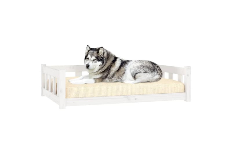 beBasic hundeseng 105,5x75,5x28 cm massivt fyrretræ hvid - Hvid - Hundeseng - Hundemøbler