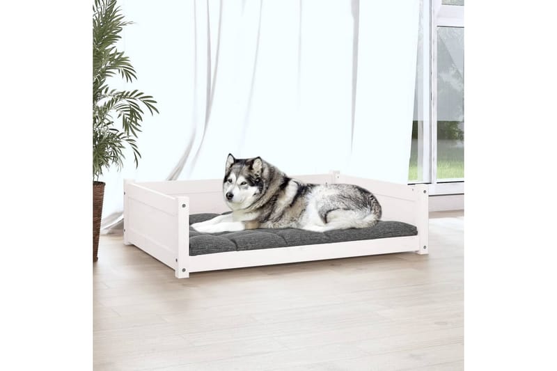 beBasic hundeseng 105,5x75,5x28 cm massivt fyrretræ hvid - Hvid - Hundemøbler - Hundeseng