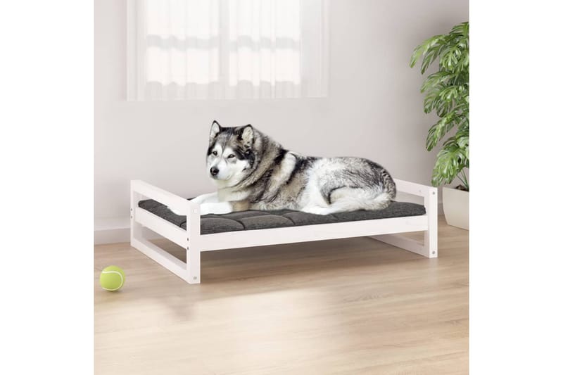 beBasic hundeseng 105,5x75,5x28 cm massivt fyrretræ hvid - Hvid - Hundeseng - Hundemøbler