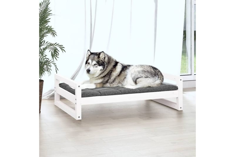 beBasic hundeseng 105,5x75,5x28 cm massivt fyrretræ hvid - Hvid - Hundeseng - Hundemøbler