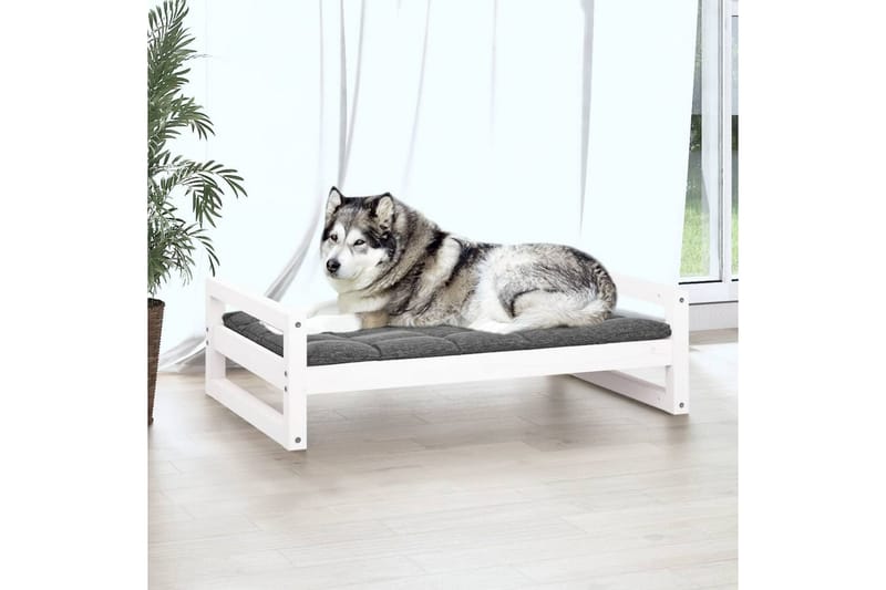 beBasic hundeseng 105,5x75,5x28 cm massivt fyrretræ hvid - Hvid - Sport & fritid - Til dyrene - Til hund - Hundemøbler - Hundeseng