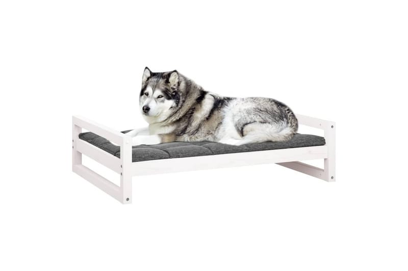 beBasic hundeseng 105,5x75,5x28 cm massivt fyrretræ hvid - Hvid - Sport & fritid - Til dyrene - Til hund - Hundemøbler - Hundeseng