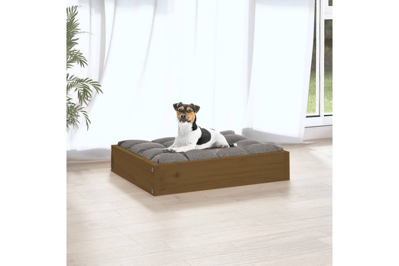 beBasic hundeseng 51,5x44x9 cm massivt fyrretræ gyldenbrun - Brun - Sport & fritid - Til dyrene - Til hund - Hundemøbler - Hundeseng