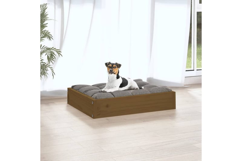 beBasic hundeseng 51,5x44x9 cm massivt fyrretræ gyldenbrun - Brun - Hundeseng - Hundemøbler