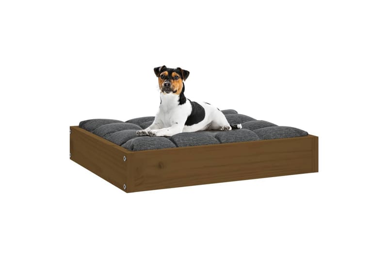 beBasic hundeseng 51,5x44x9 cm massivt fyrretræ gyldenbrun - Brun - Sport & fritid - Til dyrene - Til hund - Hundemøbler - Hundeseng
