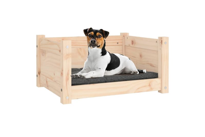 beBasic hundeseng 55,5x45,5x28 cm massivt fyrretræ - Brun - Hundeseng - Hundemøbler