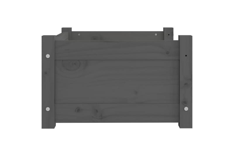 beBasic hundeseng 55,5x45,5x28 cm massivt fyrretræ grå - GrÃ¥ - Sport & fritid - Til dyrene - Til hund - Hundemøbler - Hundeseng