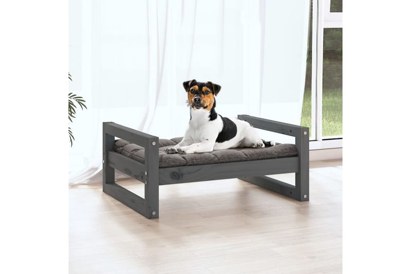 beBasic hundeseng 55,5x45,5x28 cm massivt fyrretræ grå - GrÃ¥ - Hundeseng - Hundemøbler