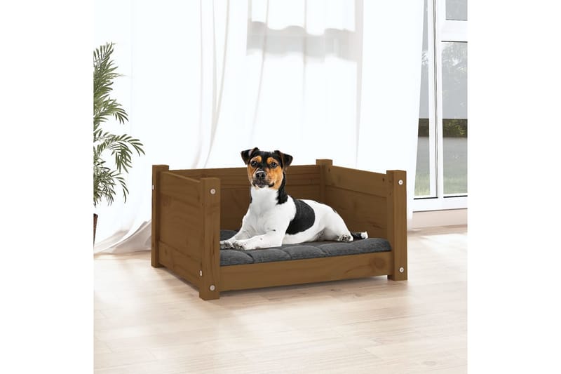 beBasic hundeseng 55,5x45,5x28 cm massivt fyrretræ gyldenbrun - Brun - Sport & fritid - Til dyrene - Til hund - Hundemøbler - Hundeseng